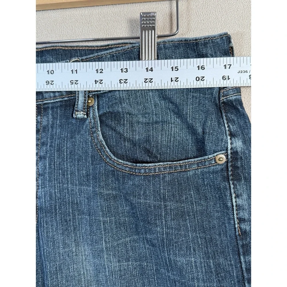 Levis levi 559